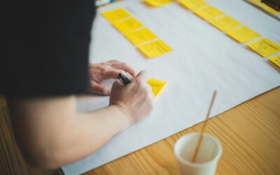 What is a Portfolio Career?