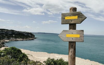 Navigating a Career Change